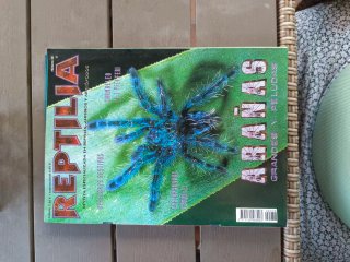 Revista REPTILIA venta unidad