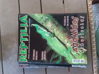 Revista REPTILIA venta unidad