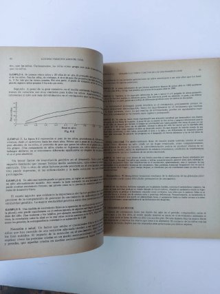 Psicología del niño. Teoría y 488 problemas