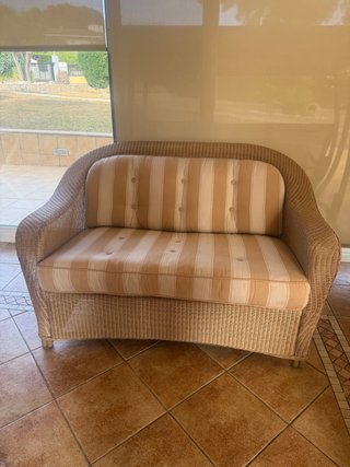 2 Sofás de ratán marrones. Diseño
