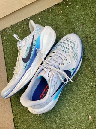 Nike pegasus 41
