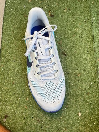 Nike pegasus 41