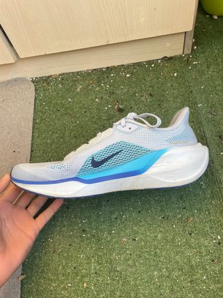 Nike pegasus 41