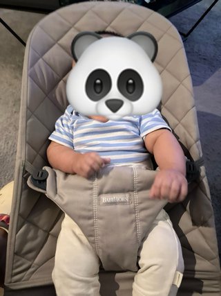 Hamaca BabyBjörn Original - Como Nueva