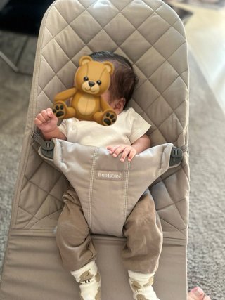 Hamaca BabyBjörn Original - Como Nueva