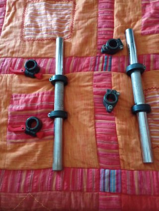 2 Pesas Salter 20kg