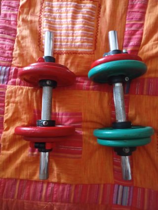 2 Pesas Salter 20kg