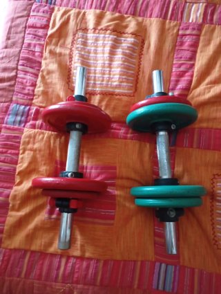 2 Pesas Salter 20kg