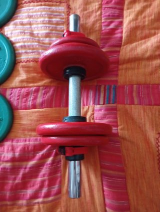 2 Pesas Salter 20kg