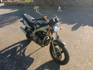 Suzuki GS500 Naked Manual