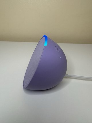 Echo Pop Lavanda