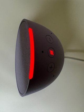 Echo Pop Lavanda