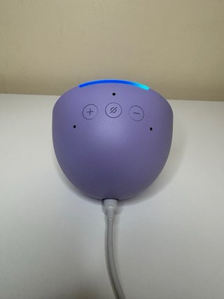 Echo Pop Lavanda