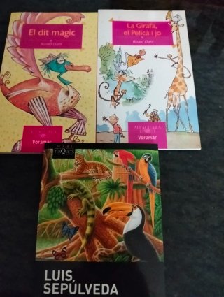 Libros deucativos e infantiles y para entrenamient