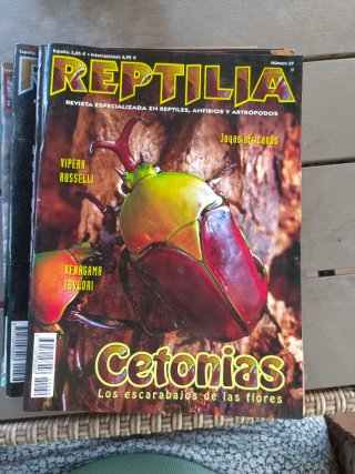 Revista Reptilia unidad