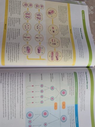 Biology and Geology, 4 Secondary, World Makers