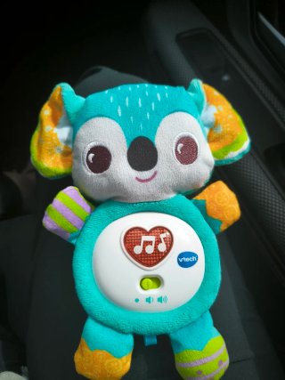Koala interactivo