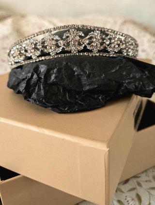 Tiara Novia de Pronovias. Modelo Edusa