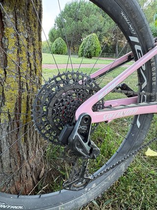 Specialized Epic LTD Bicicleta Montaña Talla L
