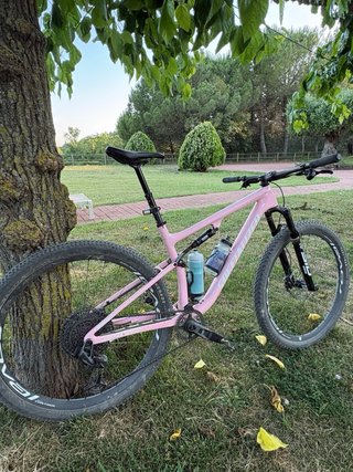 Specialized Epic LTD Bicicleta Montaña Talla L