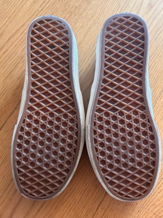Vans Auténticas Gris
