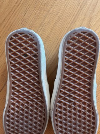 Vans Auténticas Gris
