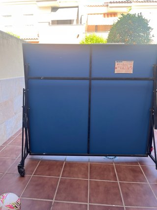 Mesa de ping pong azul