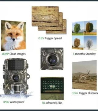 Cámara Caza Fototrampeo