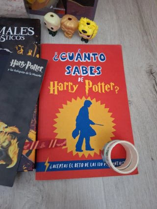 Pack Varios Productos Harry Potter