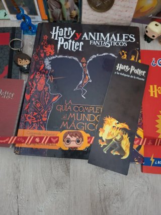 Pack Varios Productos Harry Potter