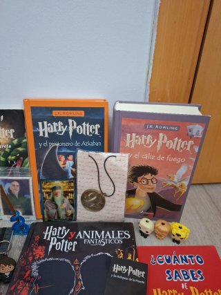 Pack Varios Productos Harry Potter
