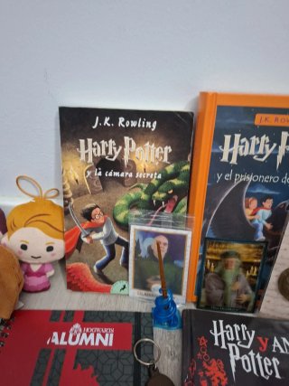 Pack Varios Productos Harry Potter