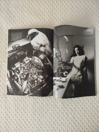 Revistas Vogue Rosalia