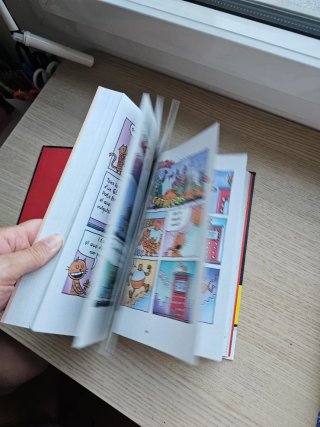 L'home gos. Una història de dos gats