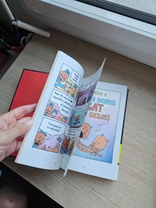 L'home gos. Una història de dos gats