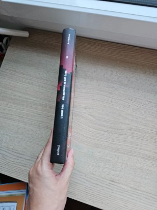 L'home gos. Una història de dos gats