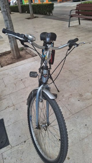 Bicicleta Paseo BH