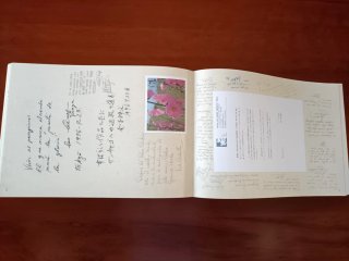 El camino de Santiago en España