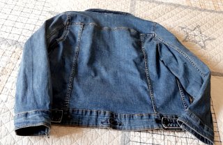 Chaqueta vaquera Southern Cotton azul