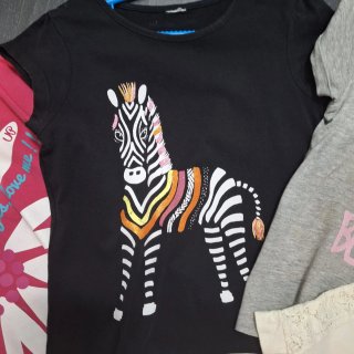 Lote 9 Camisetas Niña Talla 5-6