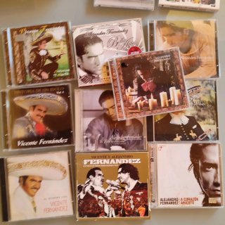 Vicente y Alejandro Fernández CDs