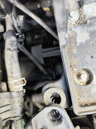 Caja de cambios ford focus berlina (cap) 1902933