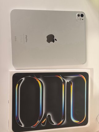 iPad Pro 11 M4 Plata 256gb
