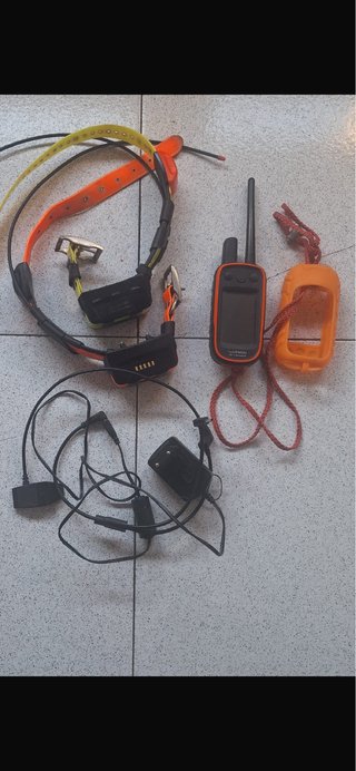Garmin Alpha 100 y collares de caza