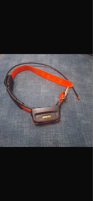 Garmin Alpha 100 y collares de caza