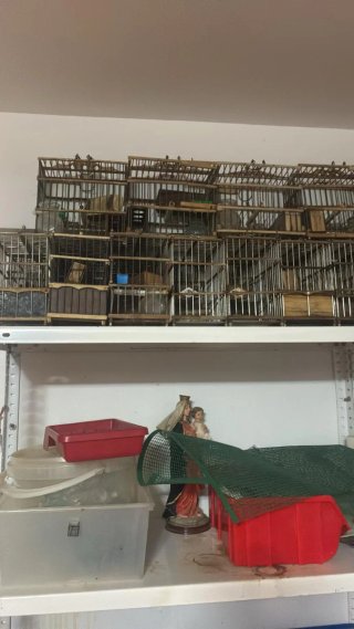 Jaula para pájaros de madera