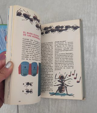 Biblioteca de los jóvenes castores 7