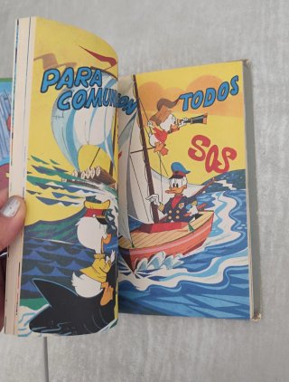 Biblioteca de los jóvenes castores 7