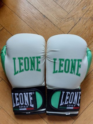 Guantes de boxeo Leone blancos y verdes + funda or