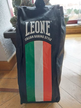 Guantes de boxeo Leone blancos y verdes + funda or